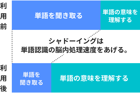 シャドテン利用による脳の働きの変化